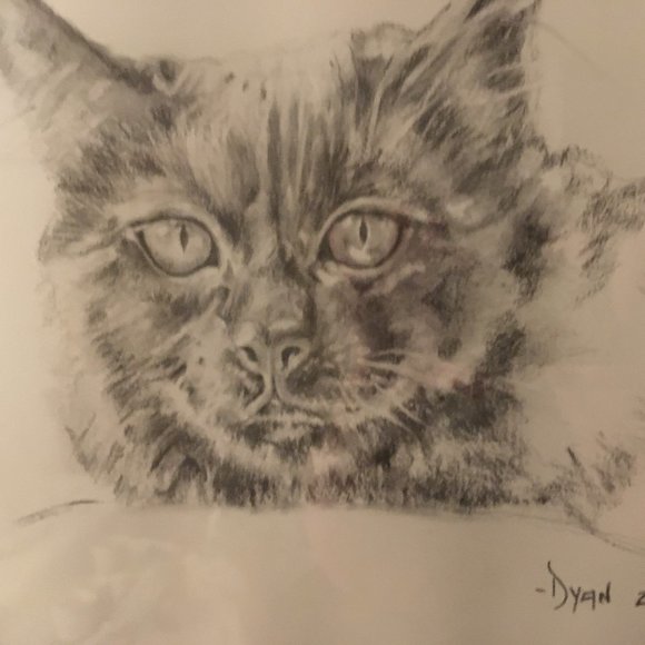 Meet your Posher, Dyan - Picture 3 of 11